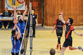 Trwa dobra passa siatkarzy