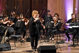 Gdzieś na serca dnie mam swojego Cohena