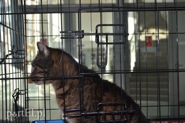 Czekamy na was w schronisku