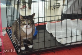 Czekamy na was w schronisku