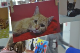 Czekamy na was w schronisku Czekamy na was w schronisku