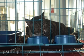 Czekamy na was w schronisku