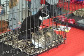 Czekamy na was w schronisku Czekamy na was w schronisku