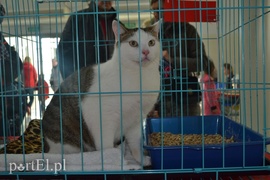 Czekamy na was w schronisku Czekamy na was w schronisku