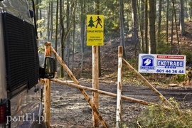 Wycinka, która budzi emocje