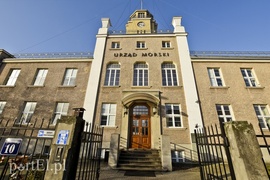 Wycinka, która budzi emocje