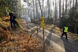 Wycinka, która budzi emocje