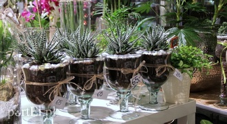 Dzień kobiet już w piątek 8 marca