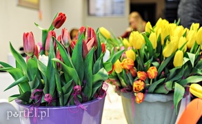 Uśmiech za kwiatka, czyli jak portEl Dzień Kobiet świętował