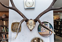 Tutaj cofniesz się w czasie