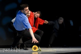 Aleksandry, które dodają skrzydeł