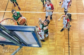 Śladem Przemka Zamojskiego