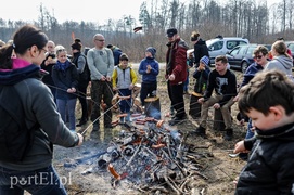 Niech się lasy pną do góry