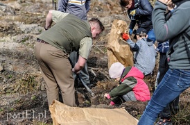 Niech się lasy pną do góry