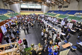 Praca czeka na fachowców i nie tylko