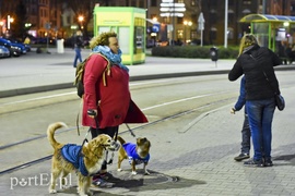 Nie bądź zielony - bądź niebieski