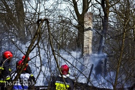 Pożar na skraju lasu