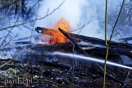 Pożar na skraju lasu