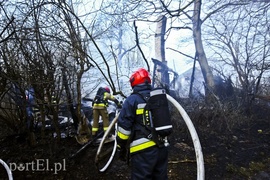 Pożar na skraju lasu