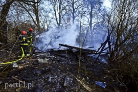 Pożar na skraju lasu
