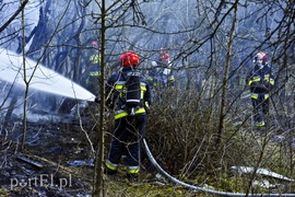 Pożar na skraju lasu
