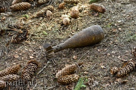 Tylko bez nerwów, proszę!