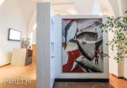 O ciele i maszynach w dawnym kościele