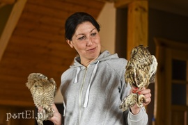 Co słychać w \"Jelonkach\" pod nowym adresem?