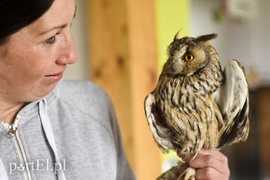 Co słychać w \"Jelonkach\" pod nowym adresem?