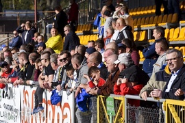 Zwycięstwo na święta