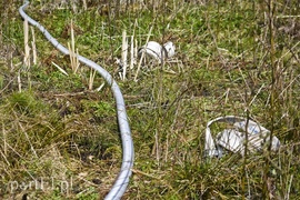 Pożar w środku lasu (aktualizacja)
