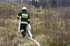 Pożar w środku lasu (aktualizacja)