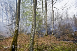 Pożar w środku lasu (aktualizacja)
