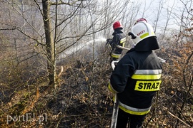 Pożar w środku lasu (aktualizacja)
