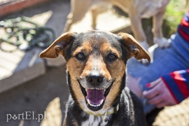 Galeria pod psem i kotem (Odc.52)