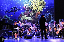 Niezwykły rejs po Morzu Czerwonym