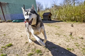 Galeria pod psem i kotem (Odc.53) Galeria pod psem i kotem (Odc.53)