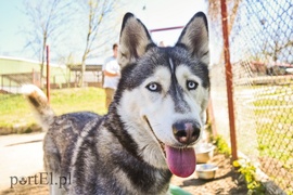 Galeria pod psem i kotem (Odc.53) Galeria pod psem i kotem (Odc.53)