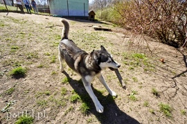 Galeria pod psem i kotem (Odc.53)