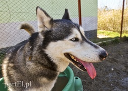 Galeria pod psem i kotem (Odc.53) Galeria pod psem i kotem (Odc.53)