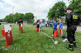 Dobrze się bawili ze służbami