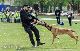 Dobrze się bawili ze służbami