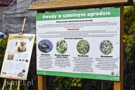 Domki czekają na pszczoły