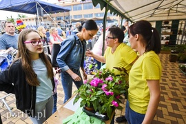 Zamieniali plastik na rośliny Zamieniali plastik na rośliny