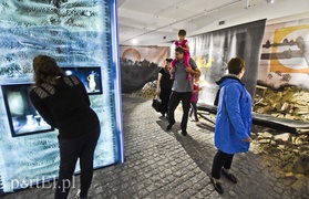 Wieczorne gry, pokazy i wystawy