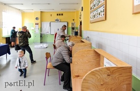 Wysoka frekwencja w wyborach do europarlamentu (aktualizacja)