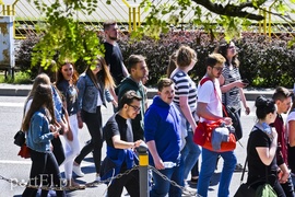 Turbinalia czas zacząć!