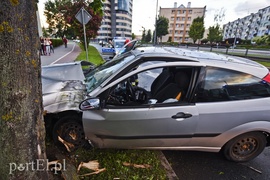 Ford uderzył w drzewo na ul. Płk. Dąbka