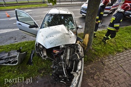 Ford uderzył w drzewo na ul. Płk. Dąbka