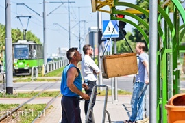 Pszczoły zaatakowały przystanek  (aktualizacja) 